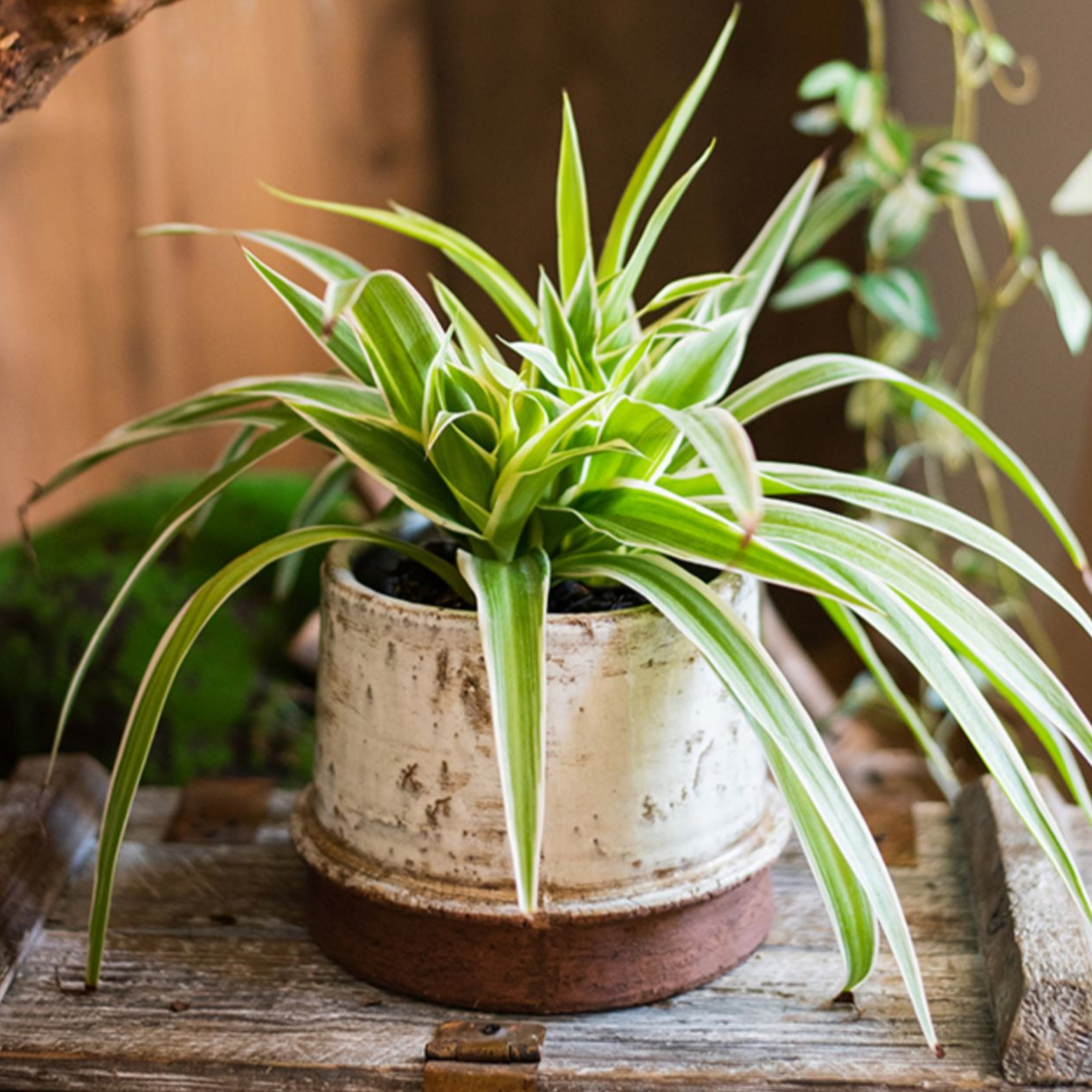 Handmade Restoration Ceramic Vase, Textured Finish